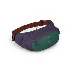 Osprey Daylite Waist Pack in Axo Green Enchantment Purple
